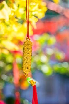 rút tiền Shbet bị từ chối